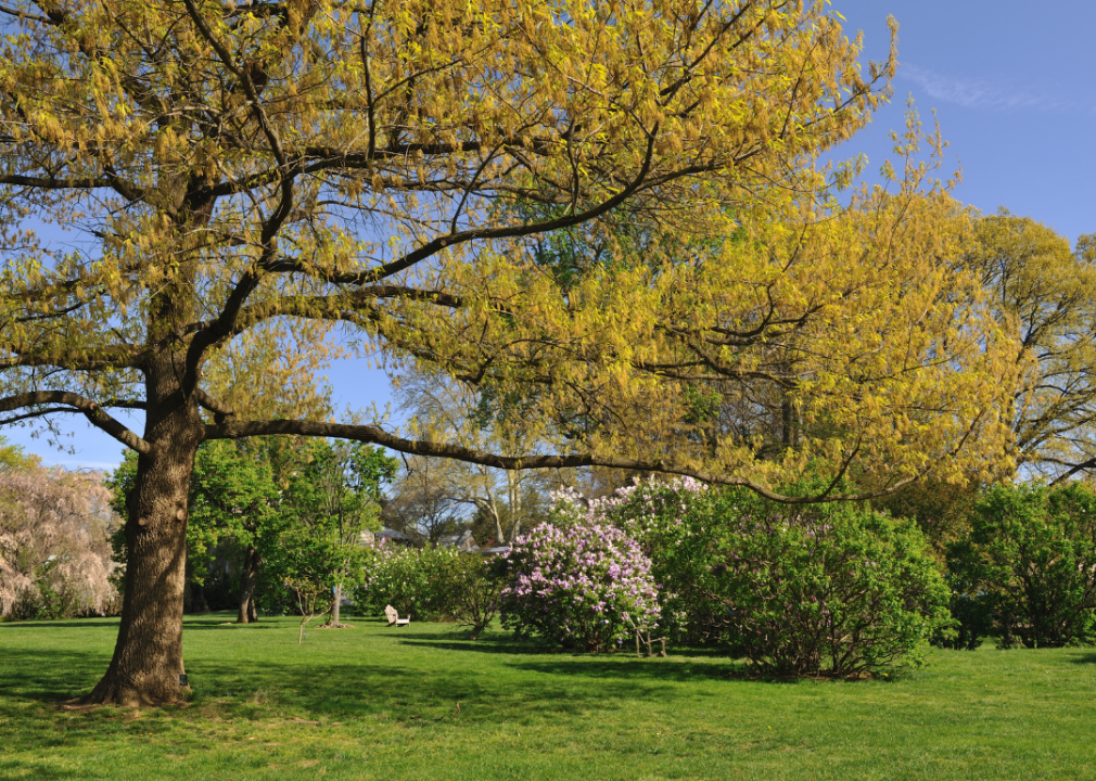 #24. Swarthmore, Pennsylvania